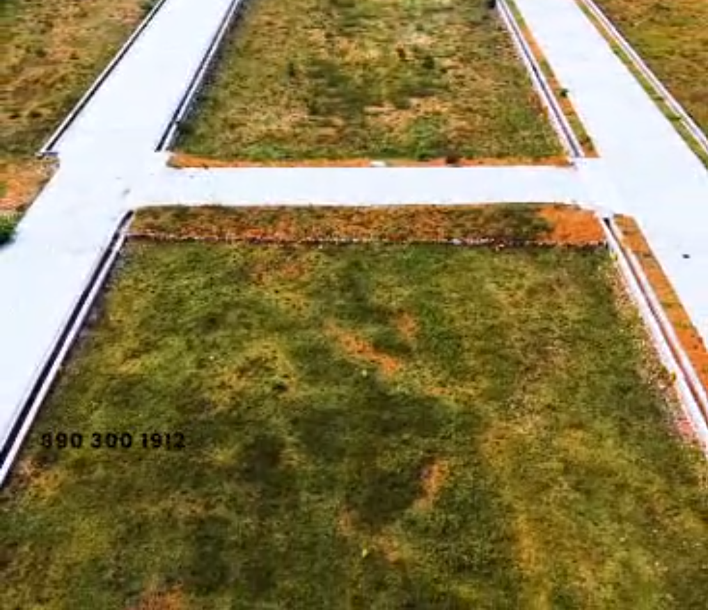 Dream Avenue Airport Road